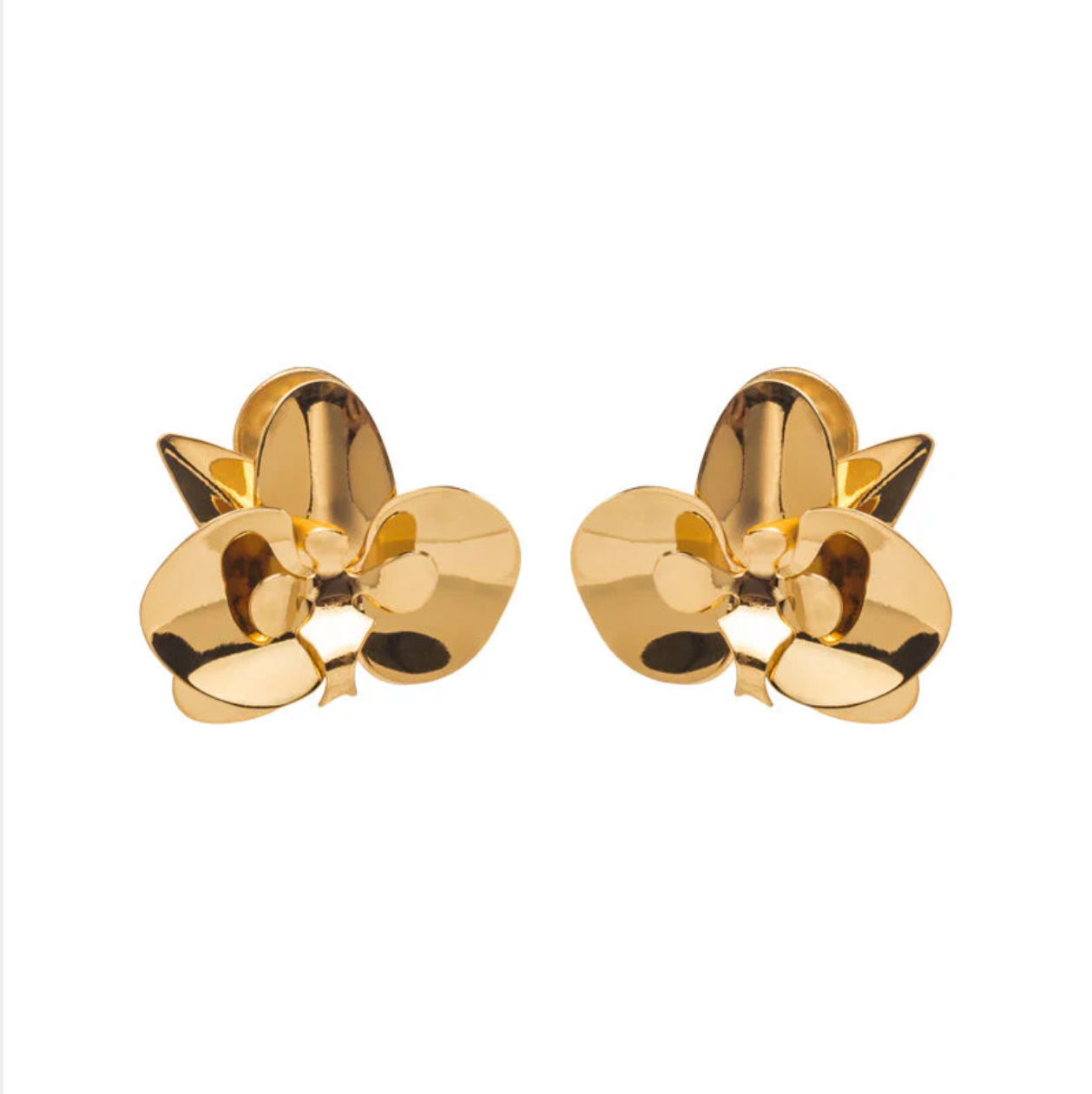Evolua Earring