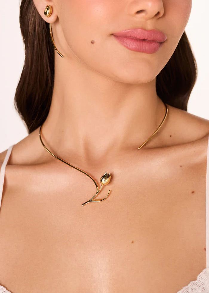 Tulipa Chocker