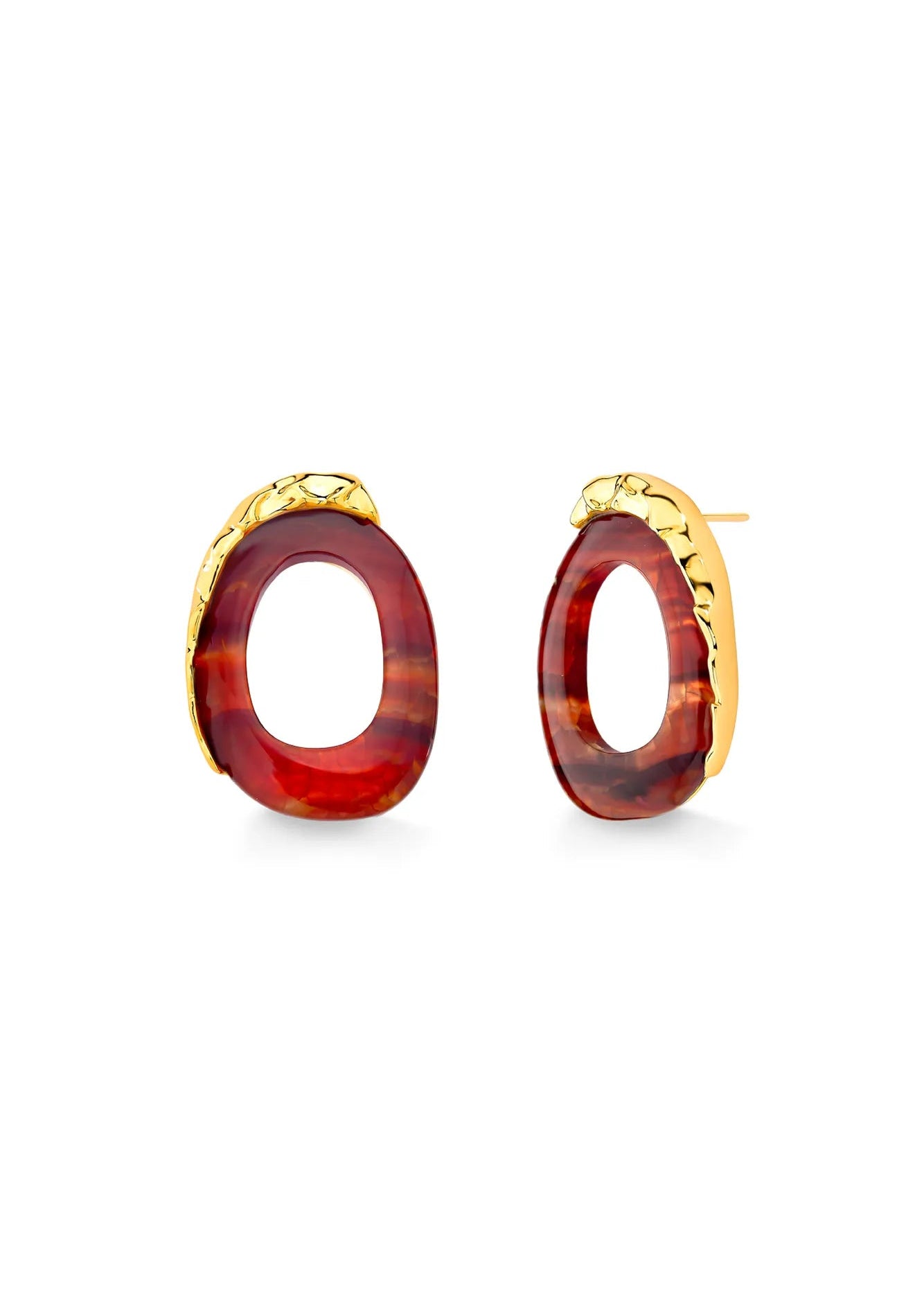 Tortoiseshell hoop earrings with gold accents on a white background