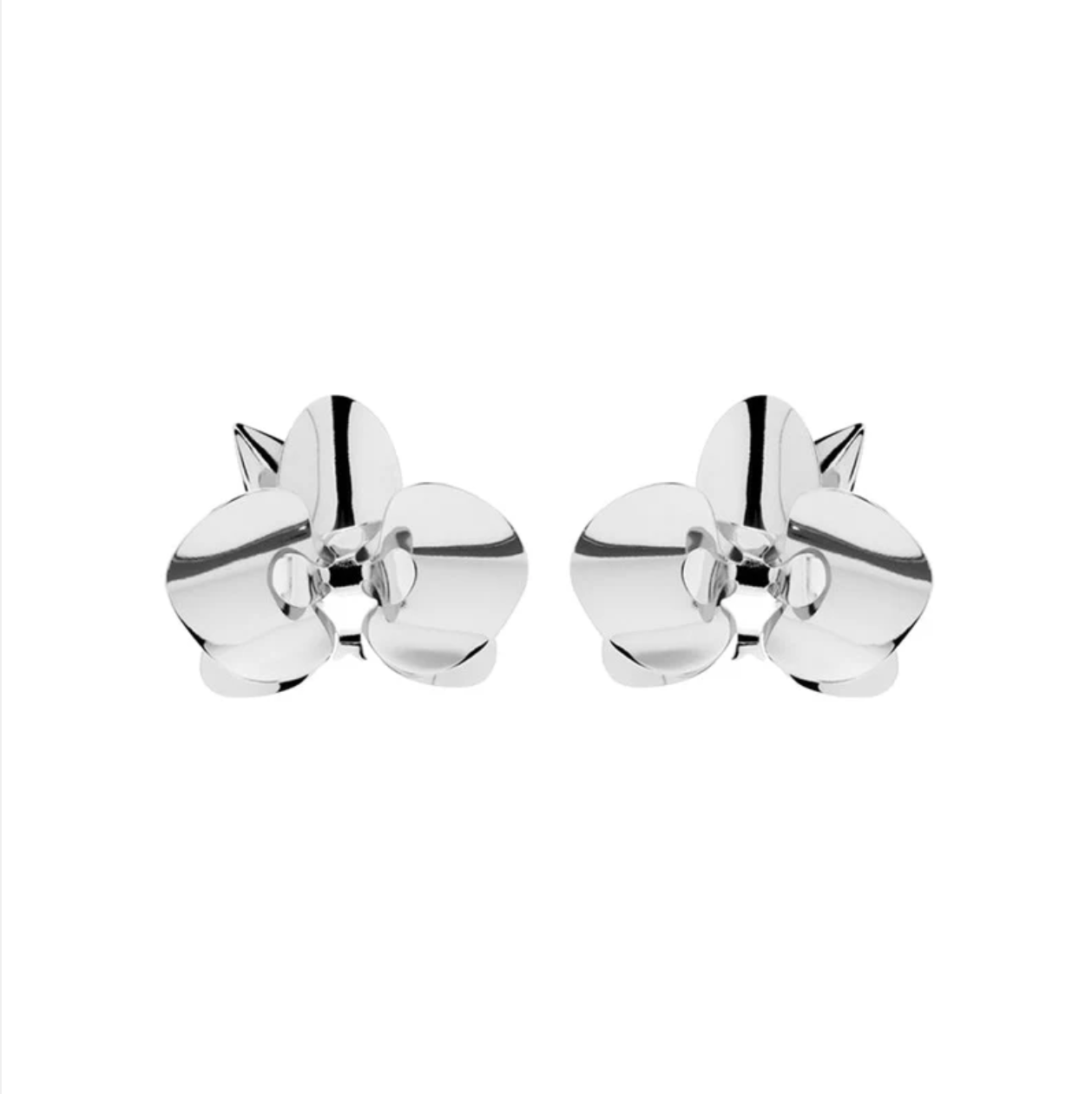 Evolua Earring