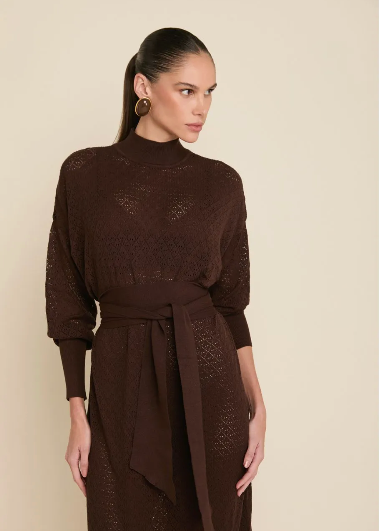 Brown Knit Turtleneck Dress