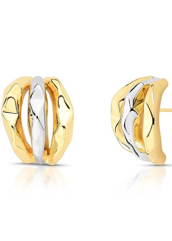 Curved Two Tone Earrings