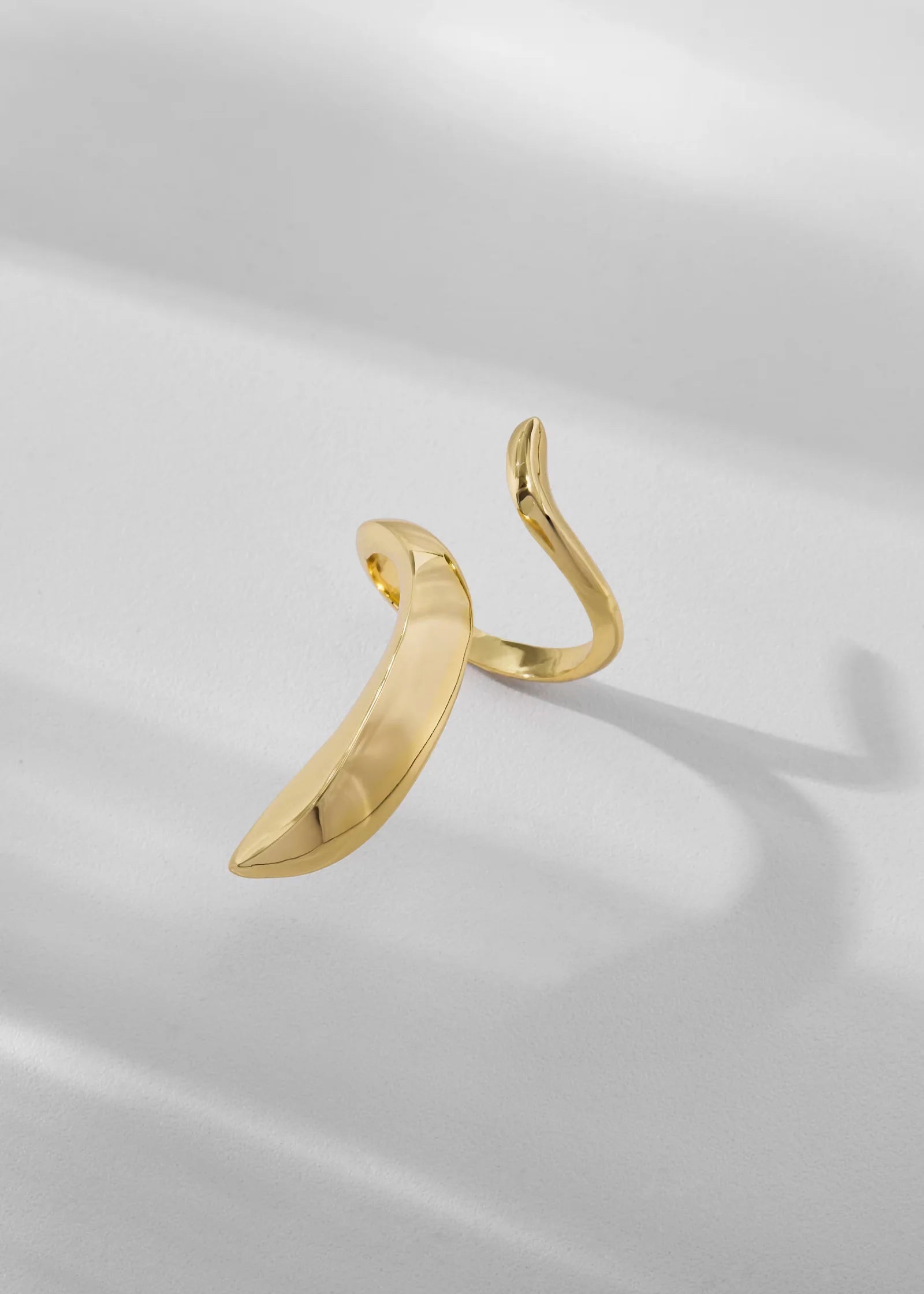 Dualis Ring