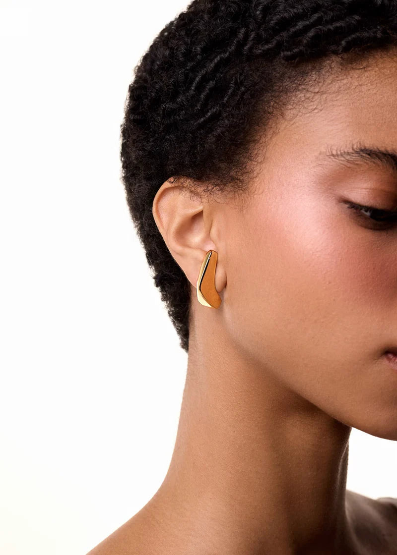 Dualis Earhook