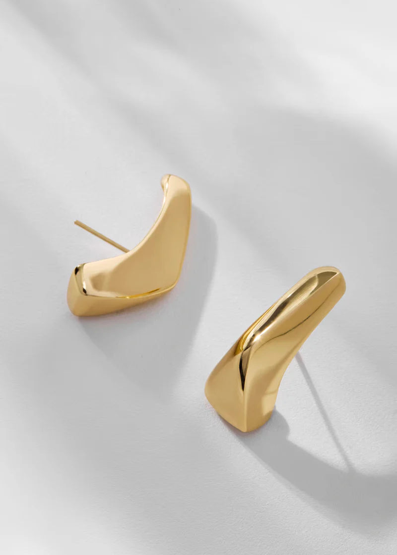 Dualis Earhook