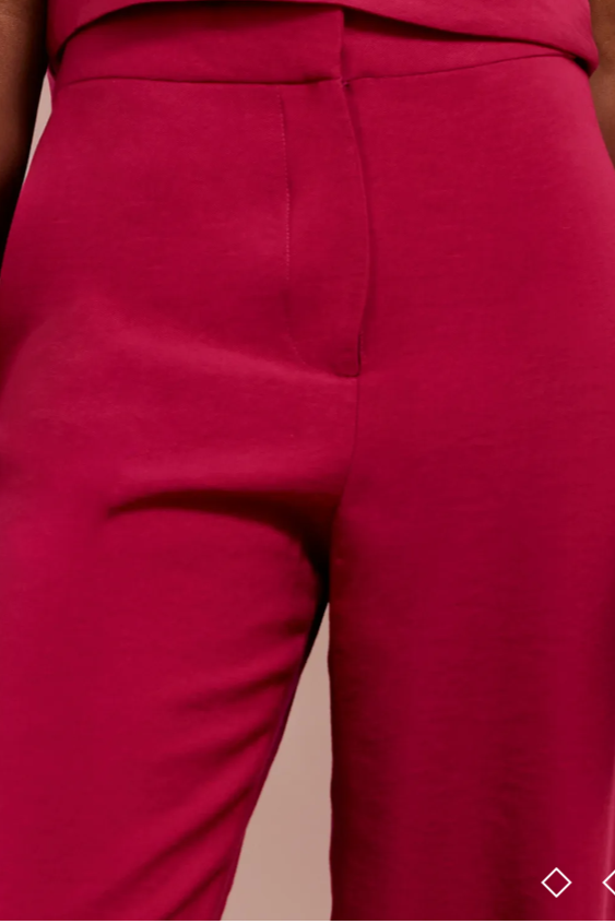 Sourse Burgundy Pants