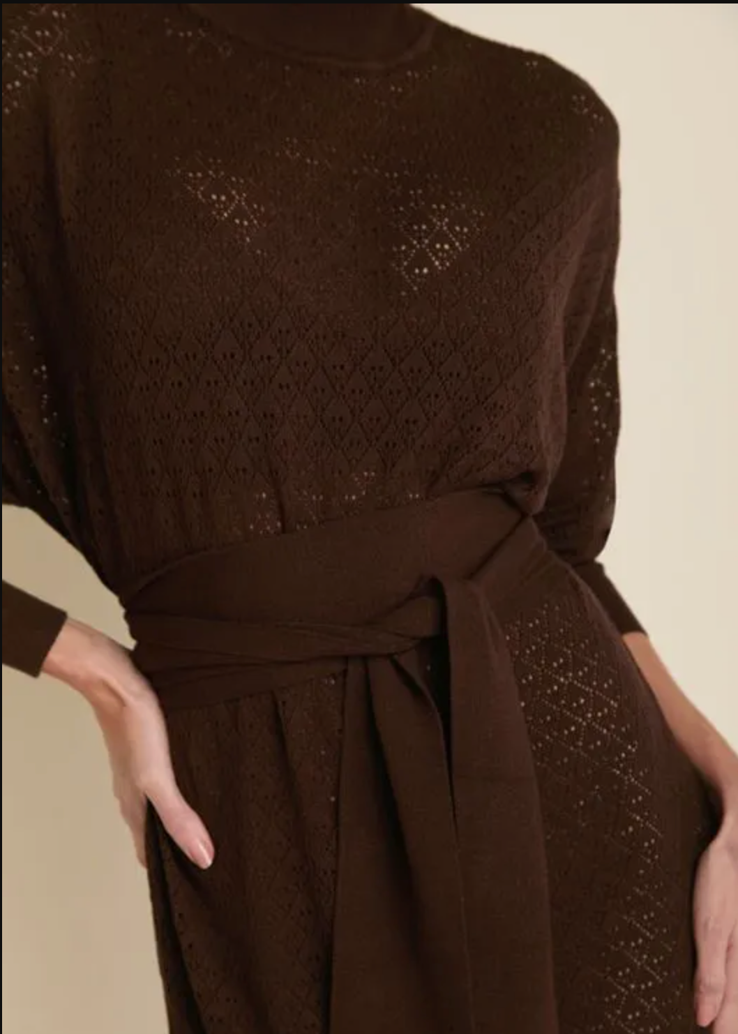 Brown Knit Turtleneck Dress